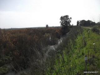 lle del Simeto-24-02-2013 10-27-51